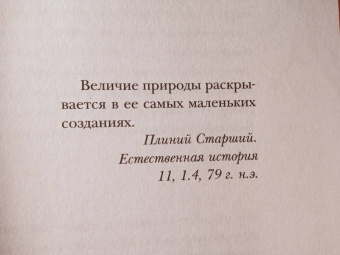Анне Свердруп-Тайгенсон: Планета насекомых. Странные, прекрасные, незаменимые существа, которые заставляют наш мир вращаться