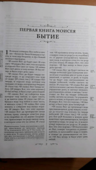 Библия. Книги Священного Писания Ветхого и Нового Завета (бордо)