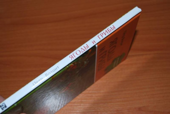 Петр Волцит: Ягоды и грибы