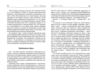 Роман Доля: Тантра правой руки. Практики осознанности