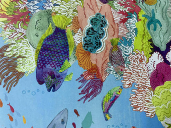 Амандин Тома: Через океаны