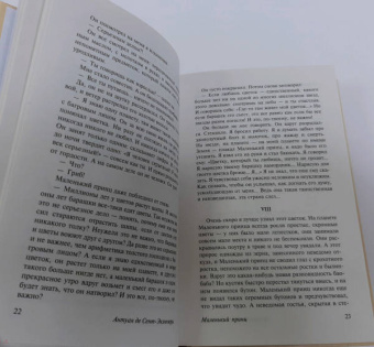 Антуан Сент-Экзюпери: Маленький принц
