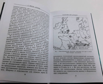 Стюарт Пиготт: Друиды. Поэты, ученые, прорицатели