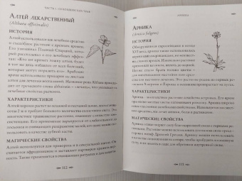 Джуди Нок: Колдовские травы. Ведьмовской путеводитель по тайным силам растений