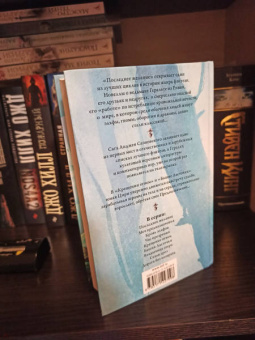 Анджей Сапковский: Крещение огнем. Башня Ласточки