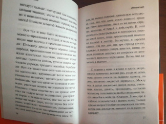 Петер Хандке: Второй меч