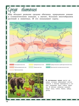 Андрианова Н.А.: Атлас мира для детей 2-е изд., испр. и доп.
