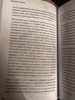 Стёстад Нюборг: Волшебная эволюция. Зачем рыбы взбираются по водопадам, а пауки танцуют