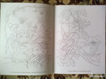 Волшебная раскраска "Феи" (№ 1143)