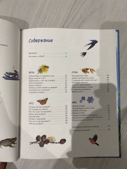 Юлия Смирнова: Природа в городе