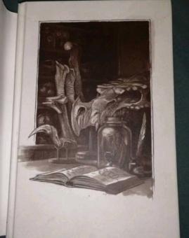 Мари Бреннан: Естественная история драконов