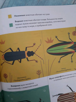 Оуэн Дэйви: Без ума от жуков