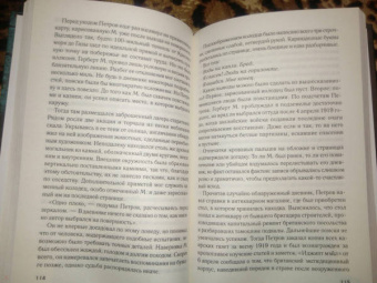 Михаил Шторм: Последняя тайна Египта