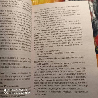Ю Несбё: Нетопырь