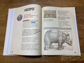 Майя Хлобыстина: Маленькая история искусства:  первые 11 шагов