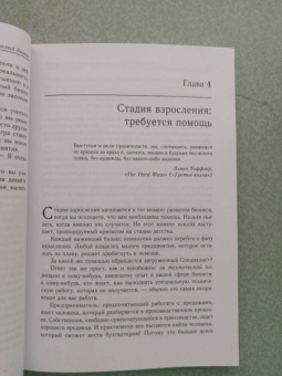 Майкл Гербер: Малый бизнес. От иллюзий к успеху. Как создать компанию и удержать ее