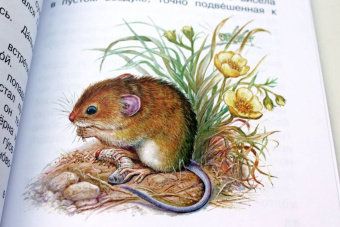 Виталий Бианки: Мышонок Пик