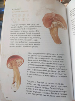 Михаил Вишневский: Грибы. Атлас-определитель