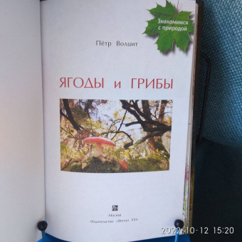 Петр Волцит: Ягоды и грибы