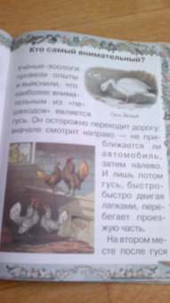 Валерий Роньшин: Птичьи секреты