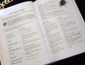 Михаил Вишневский: Грибы. Атлас-определитель