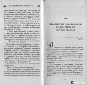 Ги Бретон: История любви в истории Франции в 10-ти томах. Книга 8. Наполеон и Мария-Луиза