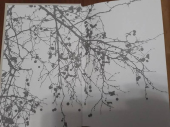 А. Воллис: Созерцание. Сборник стихов