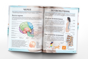 Анна Спектор: Тело человека