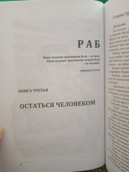 Нидейла Нэльте: Раб. Книга 3. Остаться человеком