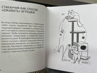 Анна Орлова: Самяучитель. Как правильно играть с кошкой
