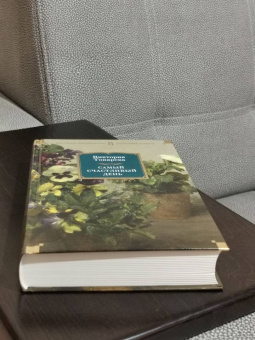 Виктория Токарева: Самый счастливый день. Рассказы