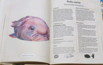 Сэми Бэйли: Энциклопедия удивительных животных