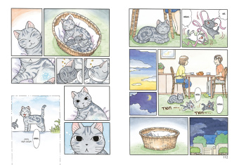 Конами Каната: Милый дом Чи. Книга  11