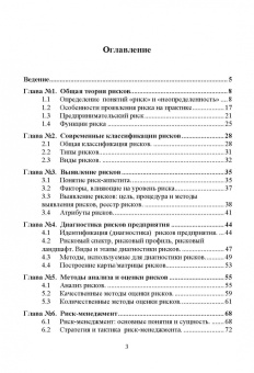 Светлана Дмитриева: Управление рисками. Учебное пособие