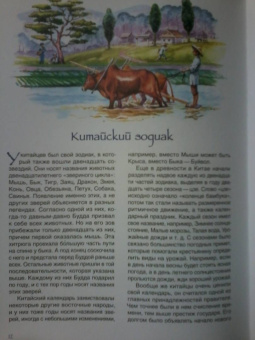 Маргарита Альбедиль: История времени