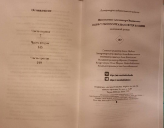 Александра Николаенко: Небесный почтальон Федя Булкин