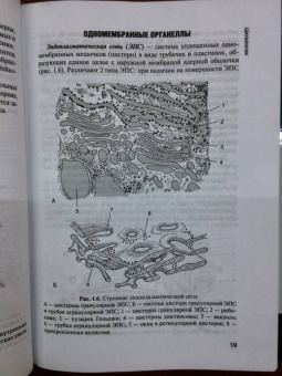 Зайчикова, Барабанов: Ботаника. Учебник