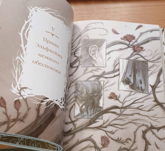 Холли Блэк: Как король Эльфхейма научился ненавидеть истории