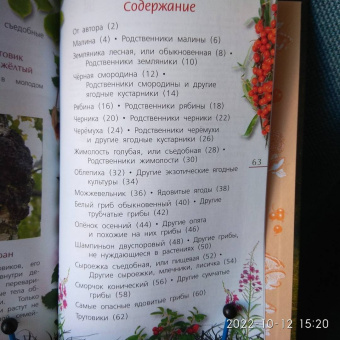 Петр Волцит: Ягоды и грибы