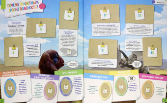 Альбом для коллекционирования наклеек "Зоопланета 2020" (8018190009323)