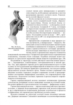 Зеленевский, Зеленевский, Щипакин: Анатомия животных. Соматические системы. Практикум. Учебное пособие для вузов