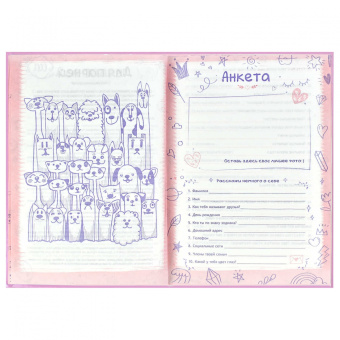 Анкета для друзей Розовые зайцы