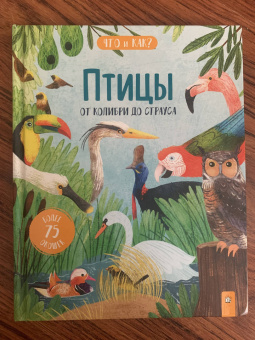 Джеки Маккэнн: Птицы. От колибри до страуса