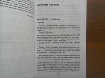 Лидия Гинзбург: Записные книжки. Воспоминания