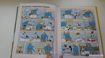 Снегирев, Снегирева: Кешка без тормозов