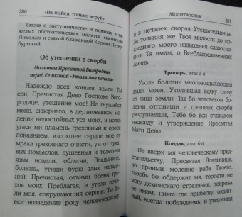 "Не бойся, только веруй!". Как молиться за детей. С наставлениями и советами для родителей