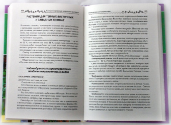 Мария Цветкова: Самые популярные комнатные растения