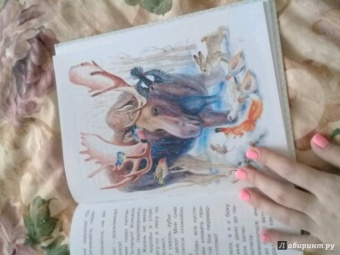 Николай Сладков: Сказки лесной опушки