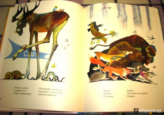 Юрий Коринец: Лесное состязание