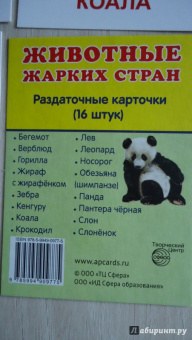 Раздаточные карточки "Животные жарких стран" (63х87 мм)